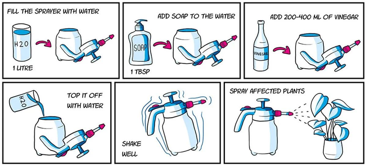 Azijnflessen als natuurlijke ongediertebestrijding: het bewezen systeem