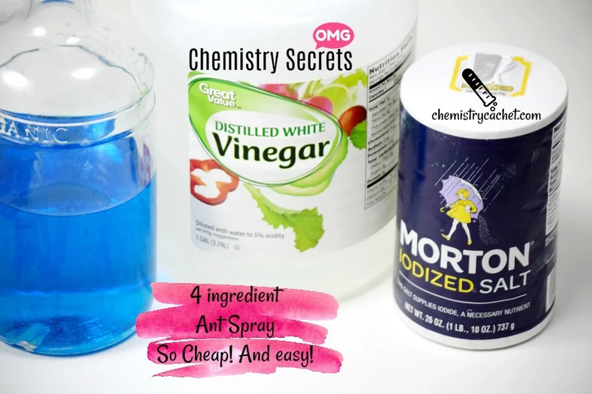 Azijnflessen als natuurlijke ongediertebestrijding: het bewezen systeem - image 2