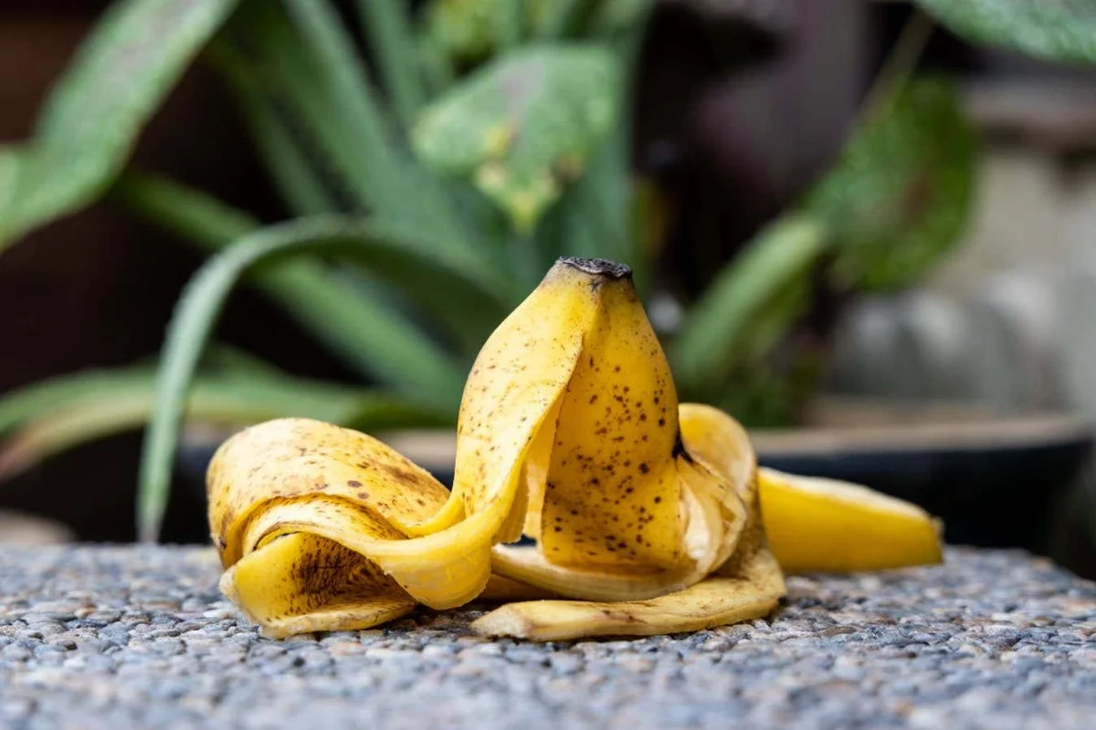 Bananenschillen in je kamerplanten: waarom tuinders dit altijd doen - image 2