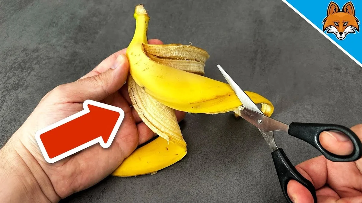 Bananenschil tegen insecten: waarom je dit nooit meer weggooit