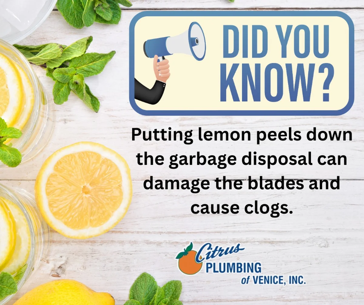 Citroenschillen in je afvoer: het natuurlijke wapen tegen nare geuren - image 2