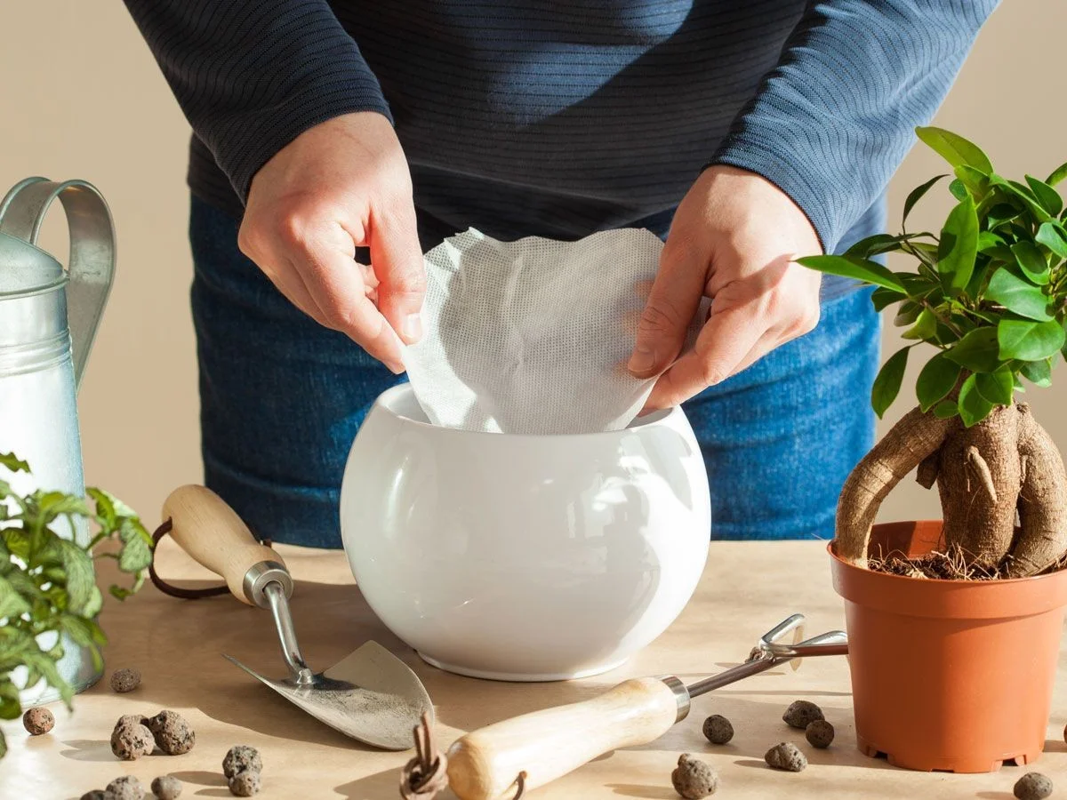 De koffiefiltermethode: hoe je planten perfecte vochtigheid geeft