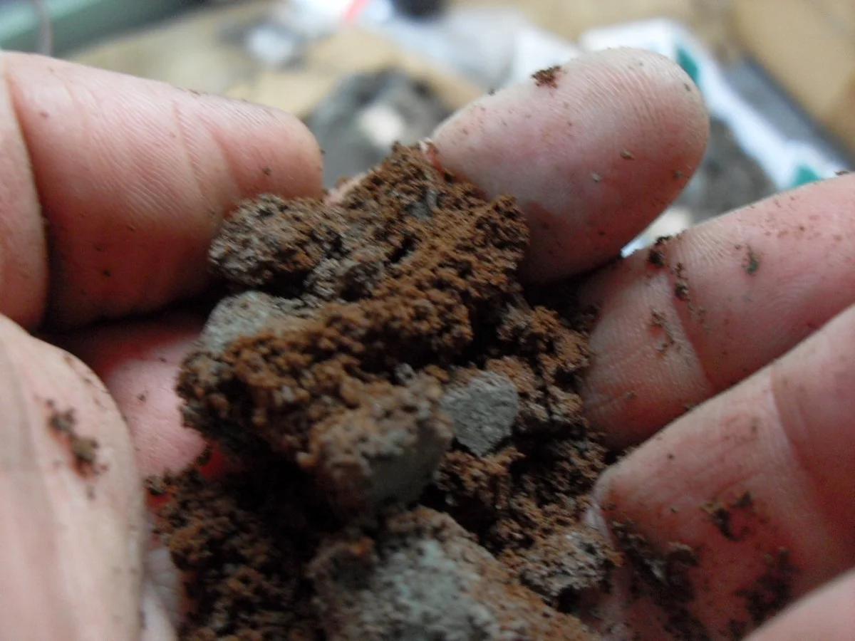 Een kopje koffiedik onder je bed: waarom slaapkamers plots schimmelvrij blijven