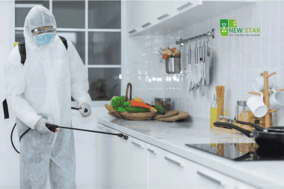 Een laurierblad in je bloem: het eeuwenoude geheim tegen voedselmotor - image 2