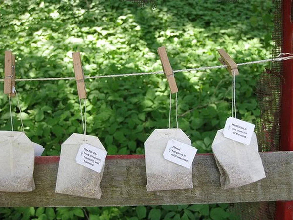 Een teabag in je stofzuiger: waarom dit de geur van je huis verandert - image 1