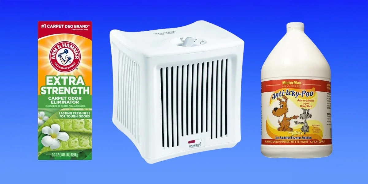 Een teabag in je stofzuiger: waarom dit de geur van je huis verandert - image 2