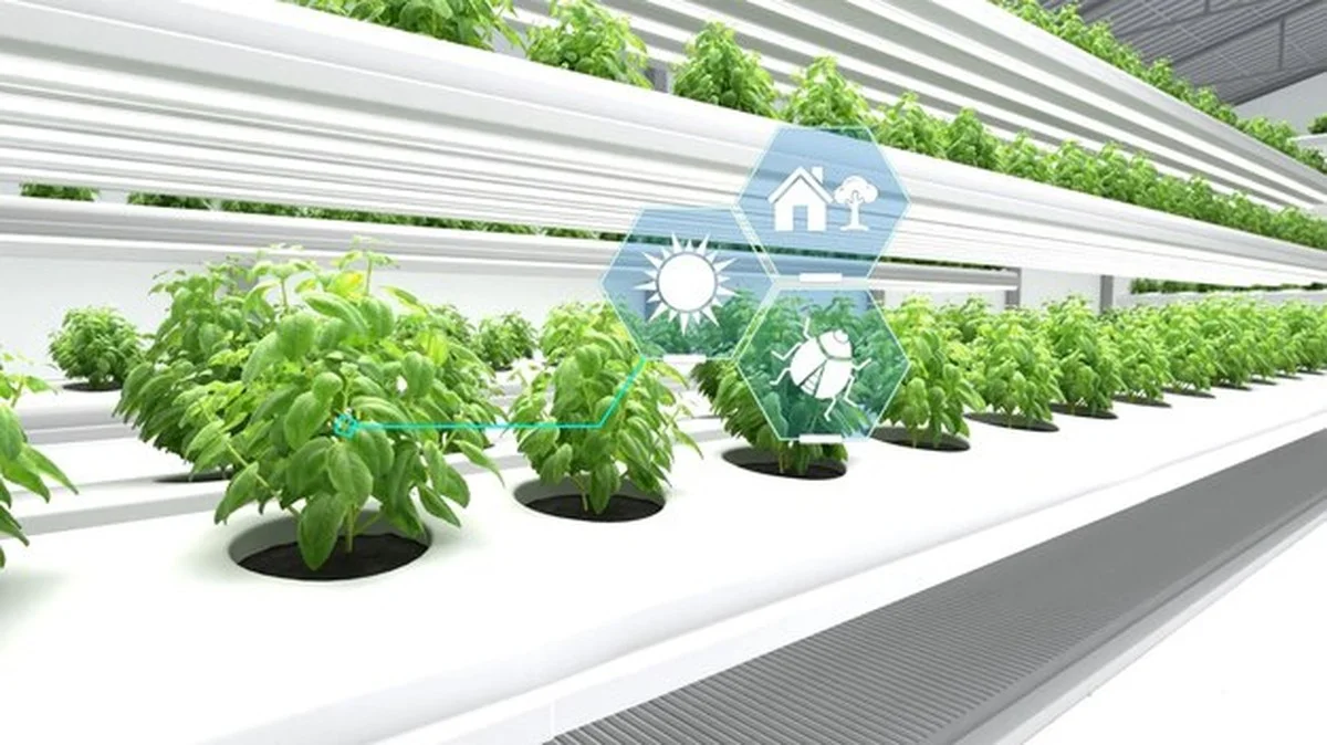 Indoor tuinieren wordt de trend van 2025 — wat je nu planten kunt - image 2