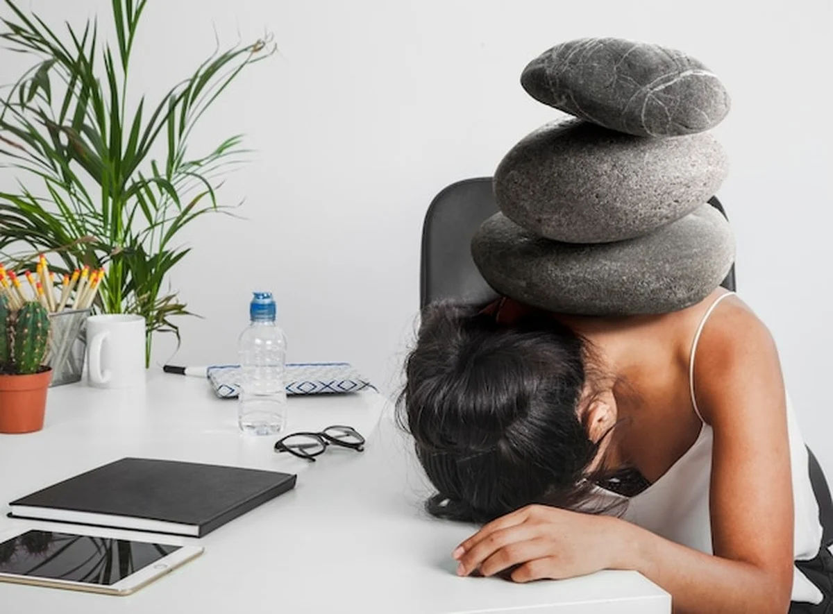 Je huisdier voelt zich winter depressief: hier helpt het mee - image 2