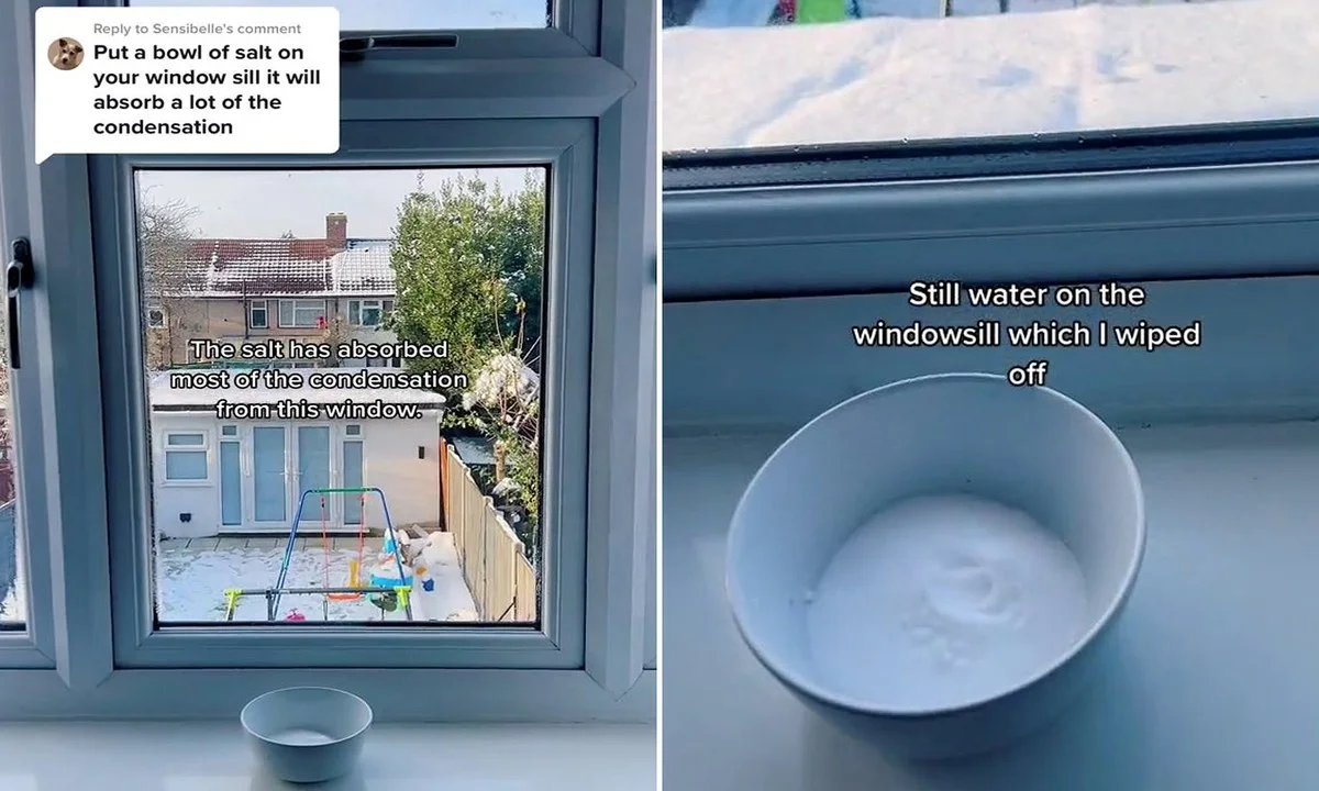 Koffiefilters achter je gordijnen: waarom professionals dit altijd doen - image 1