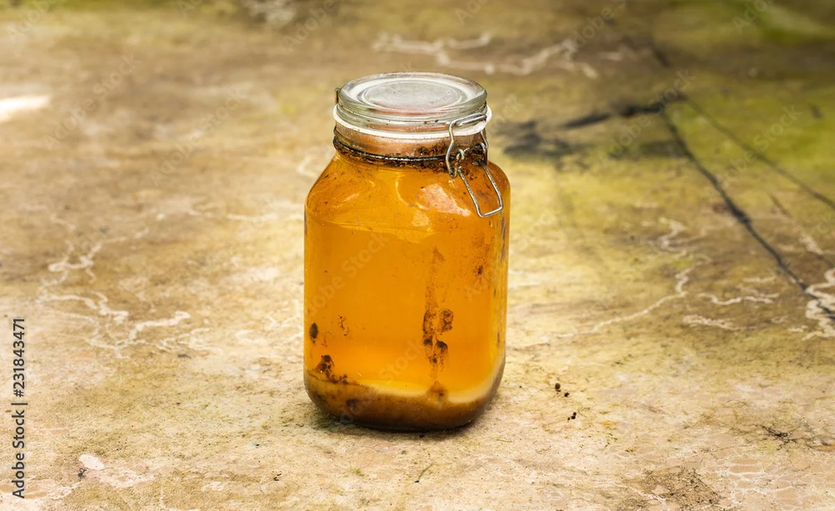 Loodgieters waarschuwen: stop met dit olie direct in je gootsteen te gooien - image 2