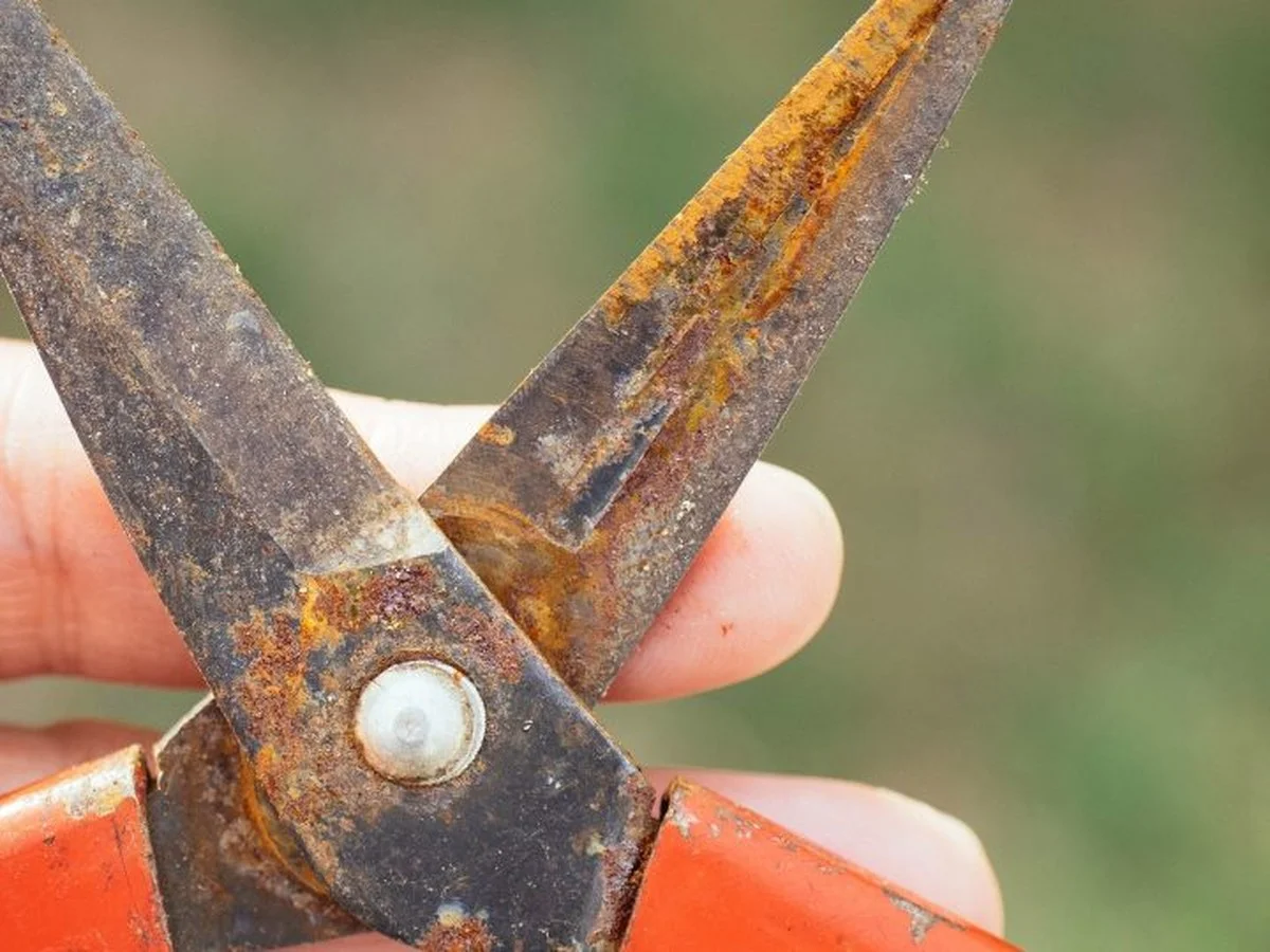 Melk tegen roest: waarom deze oude oplossing beter werkt dan dure reiniger - image 1