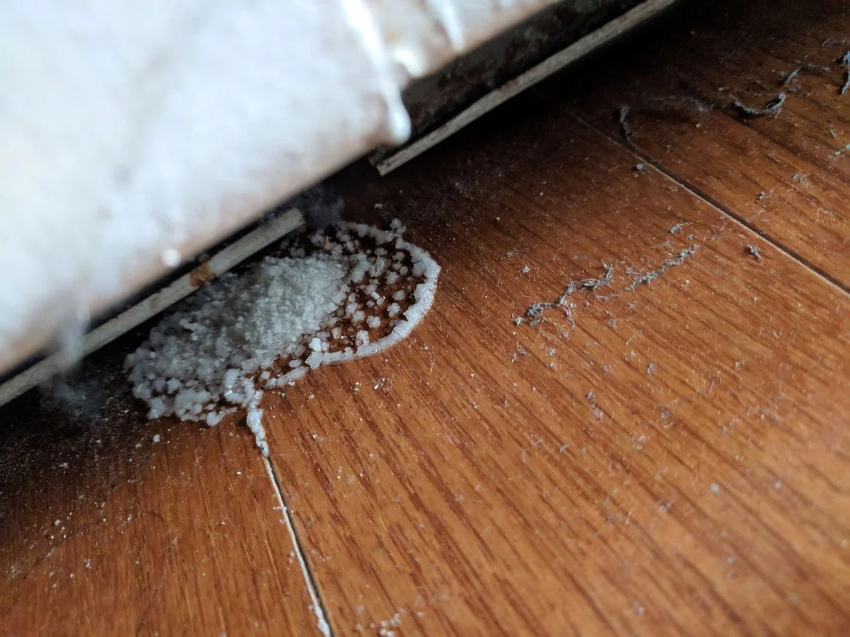 Muf onder je radiator? Dit bespaart tot 30% op je verwarmingskosten