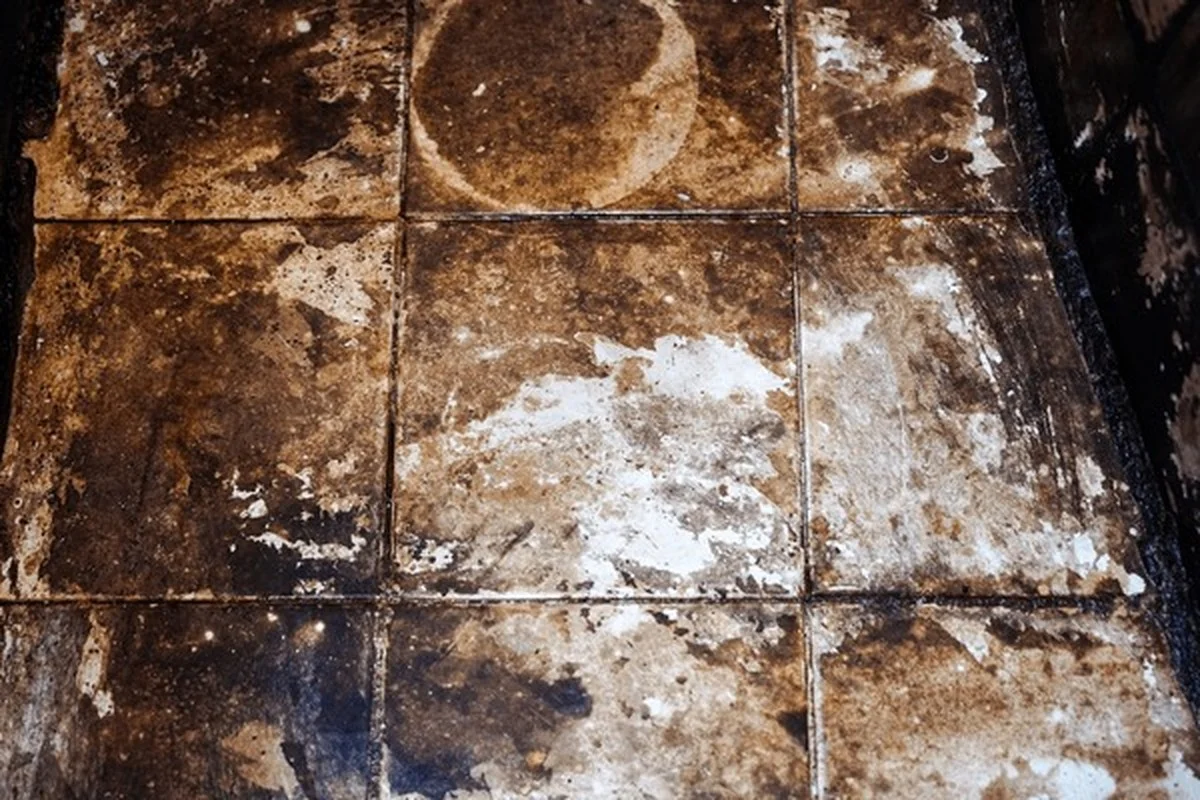 Oude tandenborstel tegen hardnekkige tegelvuil: het schoonmaakgeheim van schoonmakers - image 1