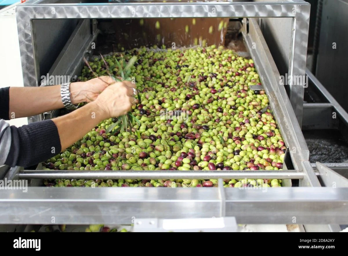 Permanente marker op je huid? Alcohol wrijven werkt, maar dit is sneller - image 2