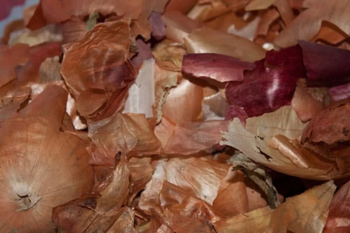 Schillen van uien achter je radiatoren? Dit scheelt 25% op je gasrekening