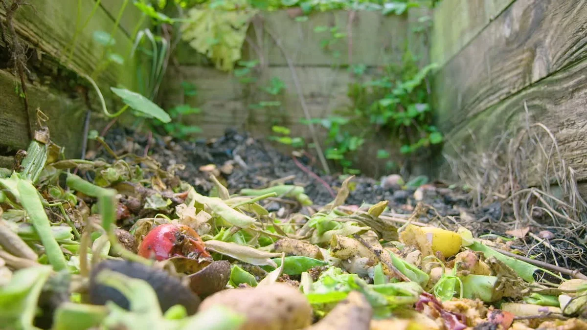 Tuiniers vergeten dit ene ingrediënt dat compost magisch maakt