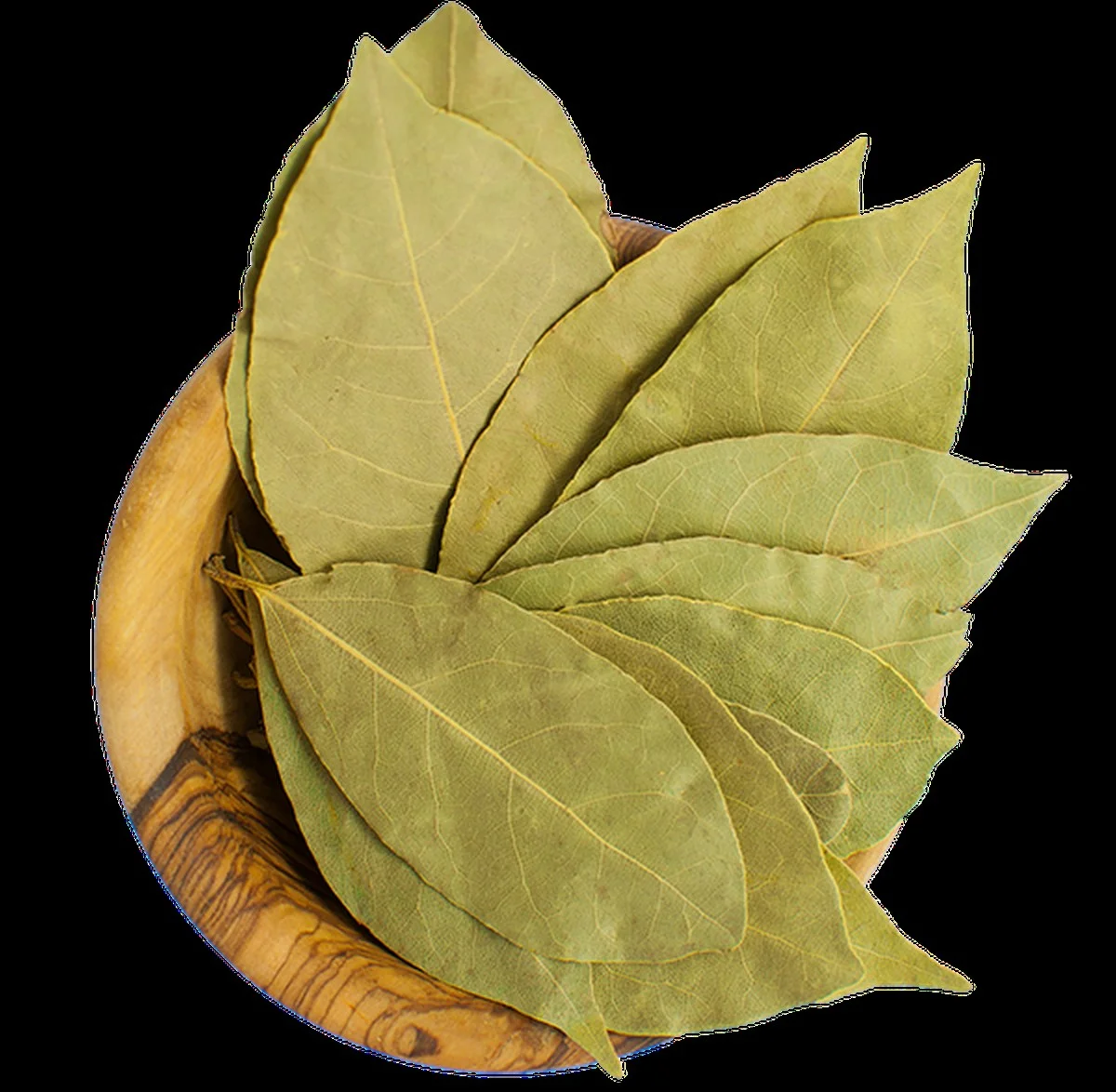 Waarom een laurierblad in je bloem- en kruidenvoorraad plaatsen tegen ongedierte werkt - image 1