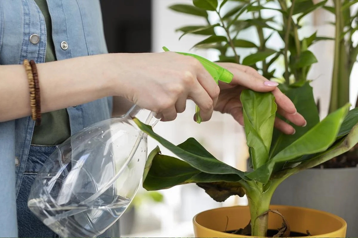 Waarom professionele tuiniers altijd azijn in hun plantenwater doen