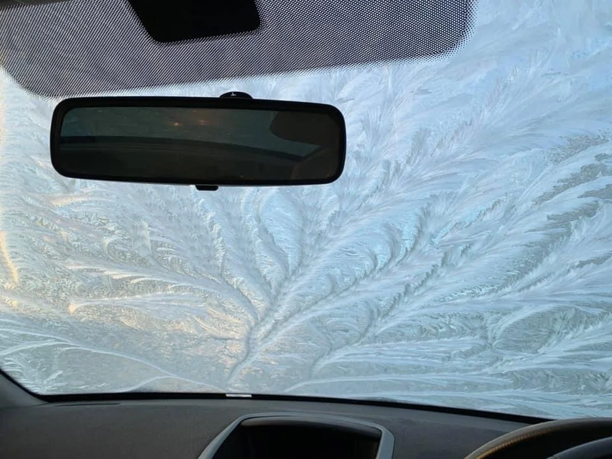 Wat gebeurt er als je zout op je ramen strooit - image 2