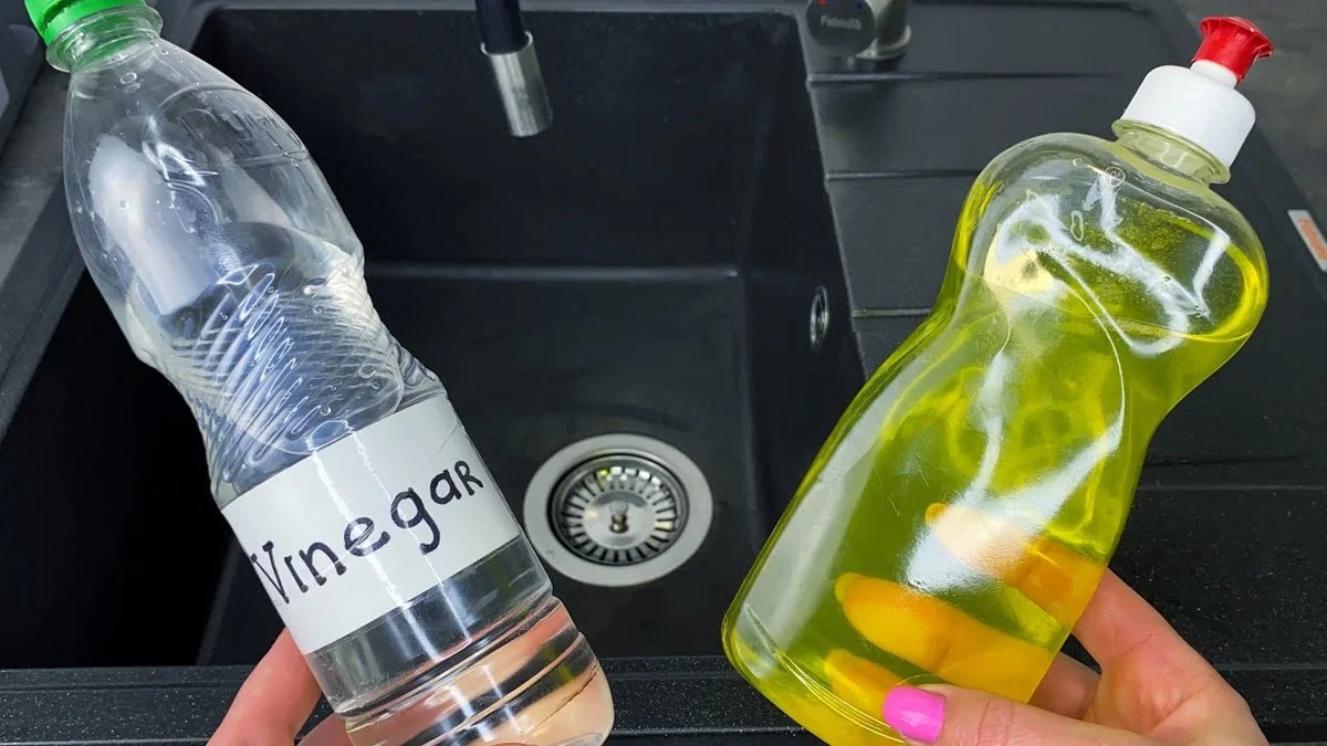 Zout en azijn tegen vogelpoep op ramen: het gebeurt in één beweging - image 2