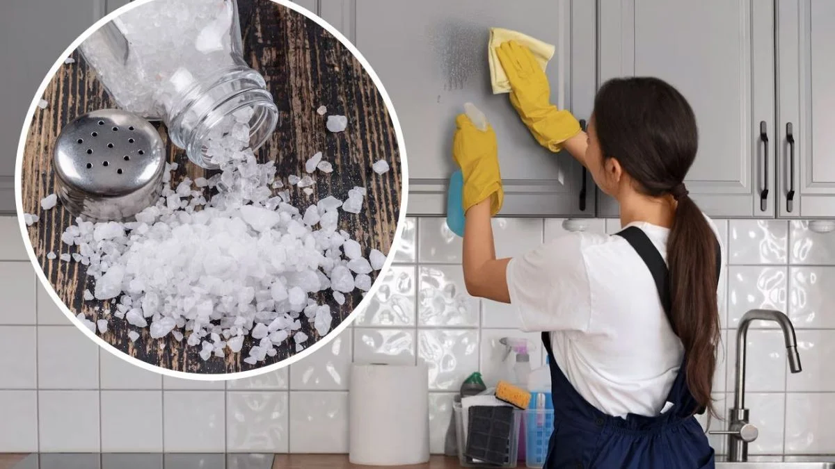 Zout in je koffiezetapparaat: het geheim tegen kalkafzetting dat niemand kent - image 2