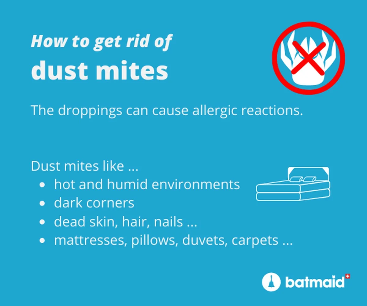 Zout op je matras strooien: het geheim tegen stofmijten en vochtigheid - image 1