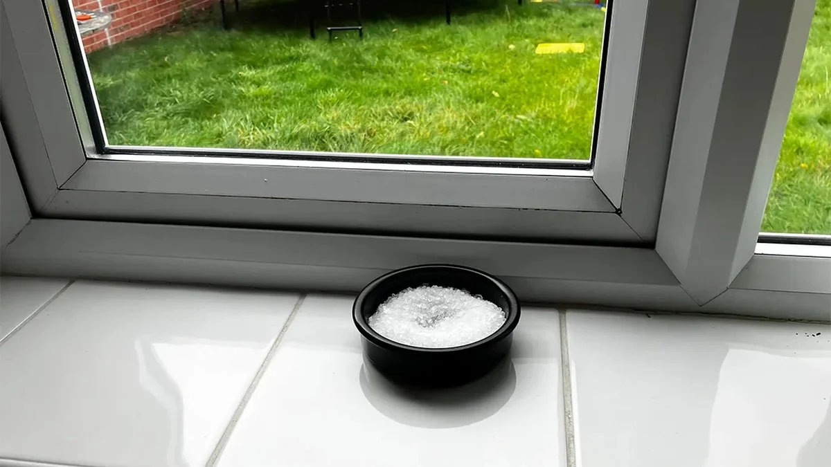 Zout op je vensterbank: dit gebeurt dan met condensatie - image 1