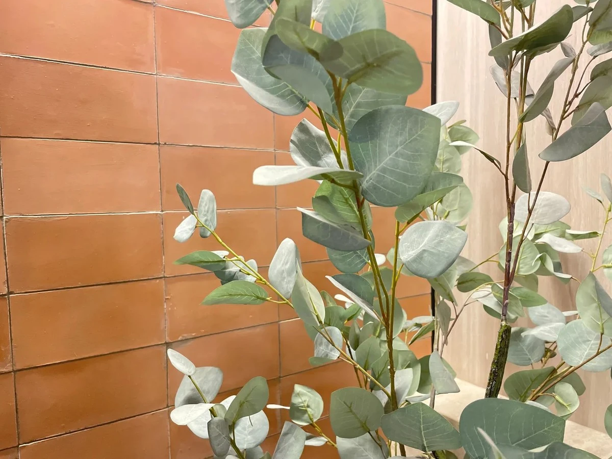 De kleur van 2026: Warm Eucalyptus brengt gegarandeerd gezelligheid en rust in huis