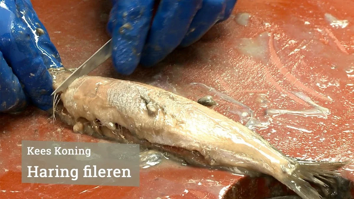 De snelste manier om haring te schoonmaken: na deze truc verdwijnen de graten in een oogwenk - image 1