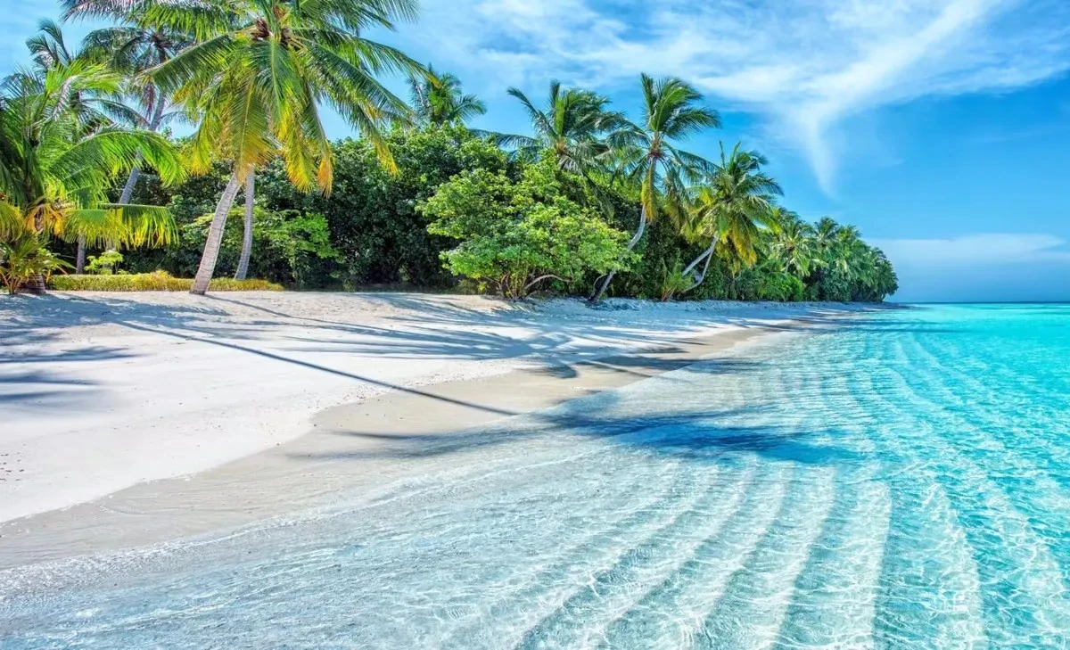 De Vergeten Oceaan: Hoe Tropische Zeeën Onze Planeet Ademhaalbaar Maakten