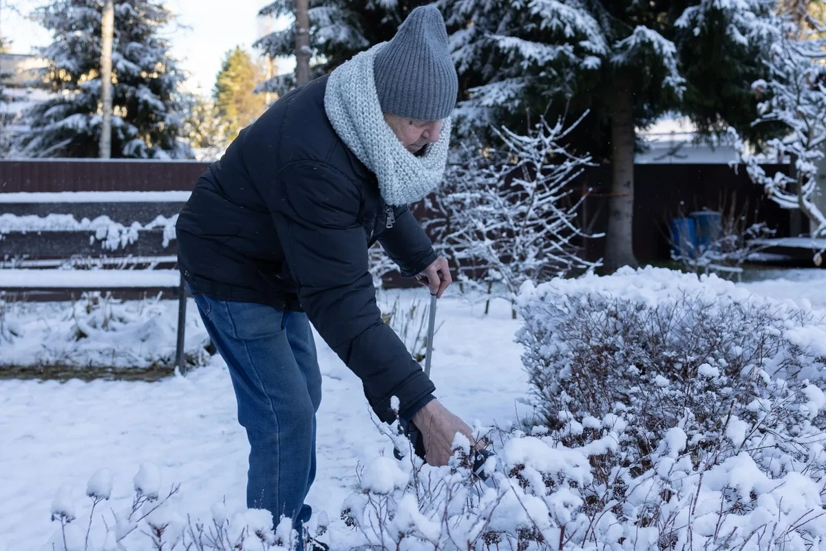 De wispelturige winter: slimme trucs om je potplanten en tuin te redden van de vorst