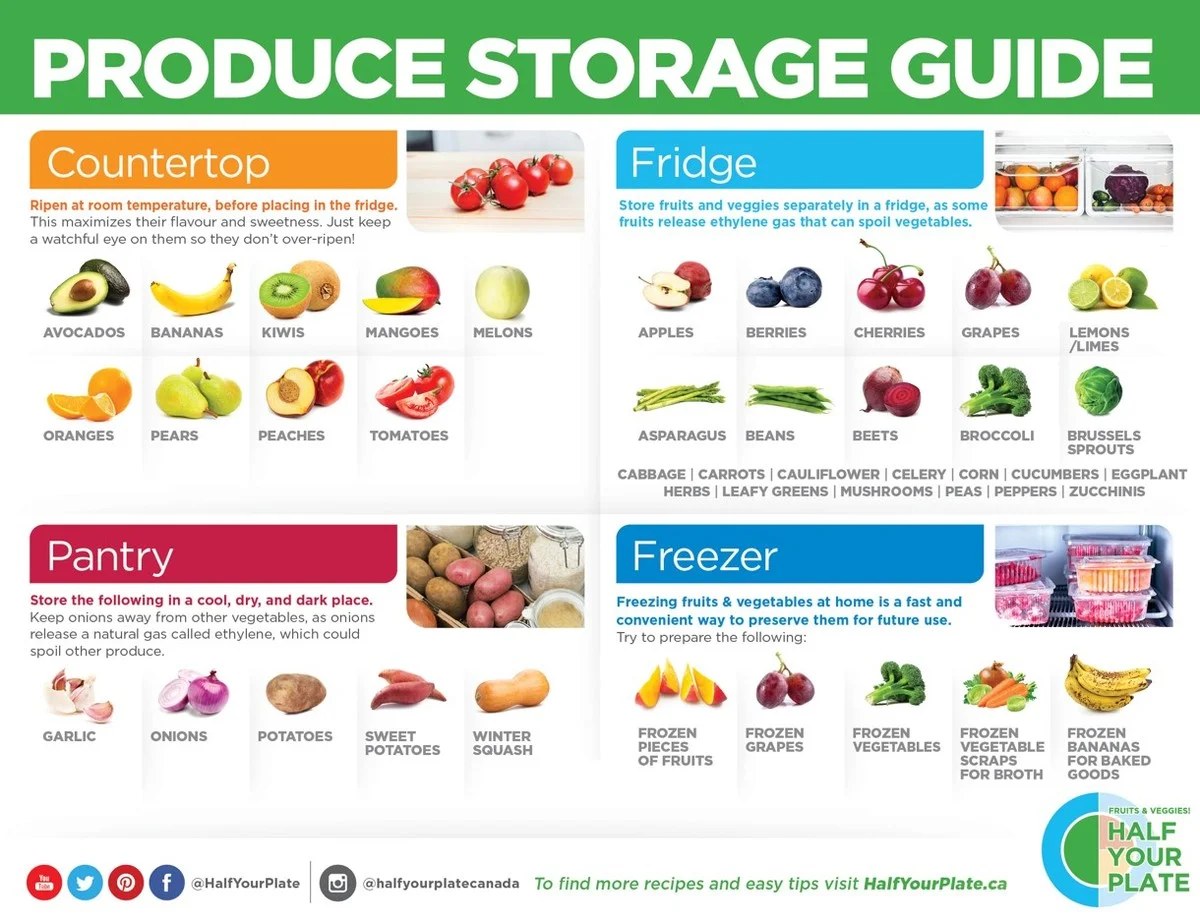 Droogkost in je koelkast: waarom je nooit meer bedorven groente hebt - image 1