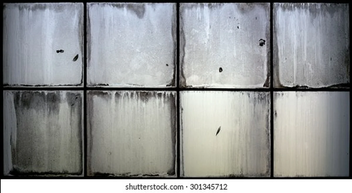 Een potlood tegen vogelpoep op ramen? Het werkt beter dan je denkt