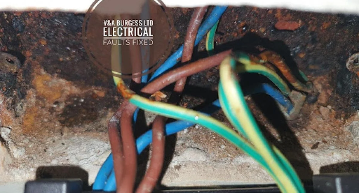 Een tandenstoker in je stopcontact: de truc tegen vochtigheid die nobody vertelt - image 2