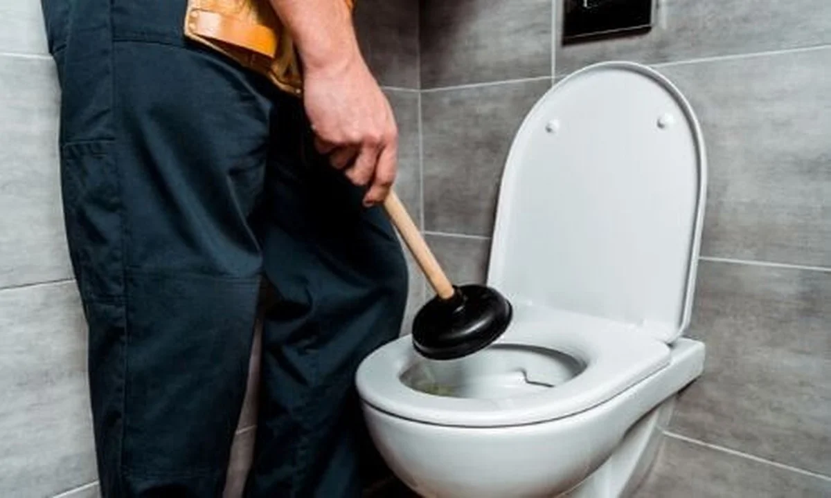Een theelepel zout in je toilet: waarom loodgieters dit elke week doen - image 2