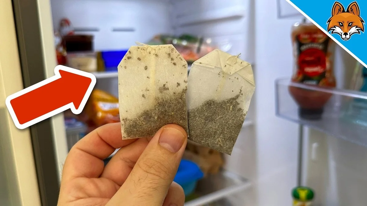 Een theezakje in je koelkast: de natuurlijke oplossing tegen nare geuren