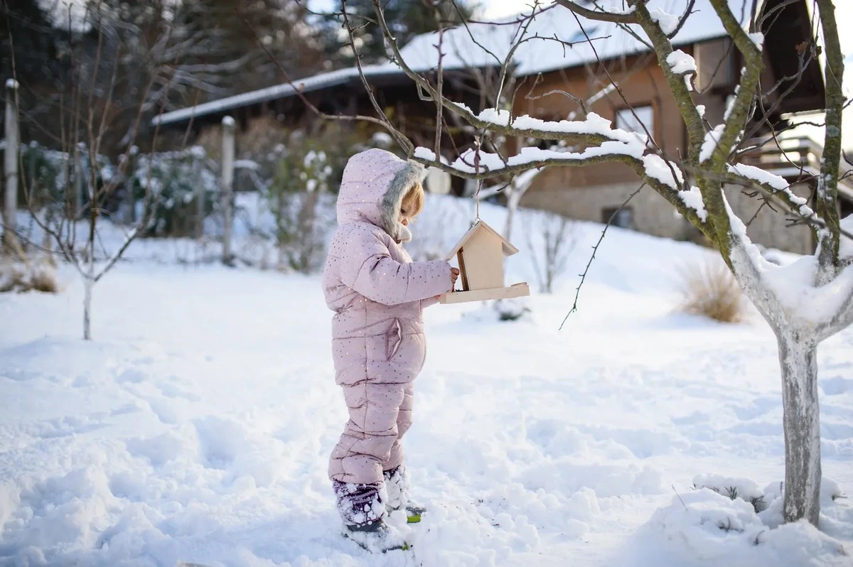 Het is officieel: -32°C record bij de grens, deze kou is hier om te blijven
