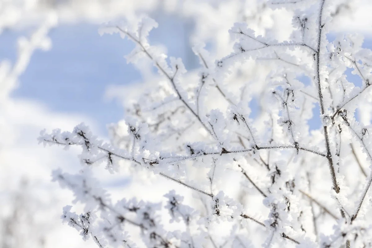 Latvijos meteorologas įspėja, kad esame nepasiruošę šalčiui – Lietuvai tai taip pat pažįstamas scenarijus