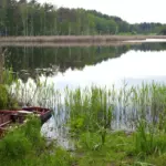 Lijstjes van overstromingen in 2050: waarom Nederlandse rivieren onvoorspelbaar worden
