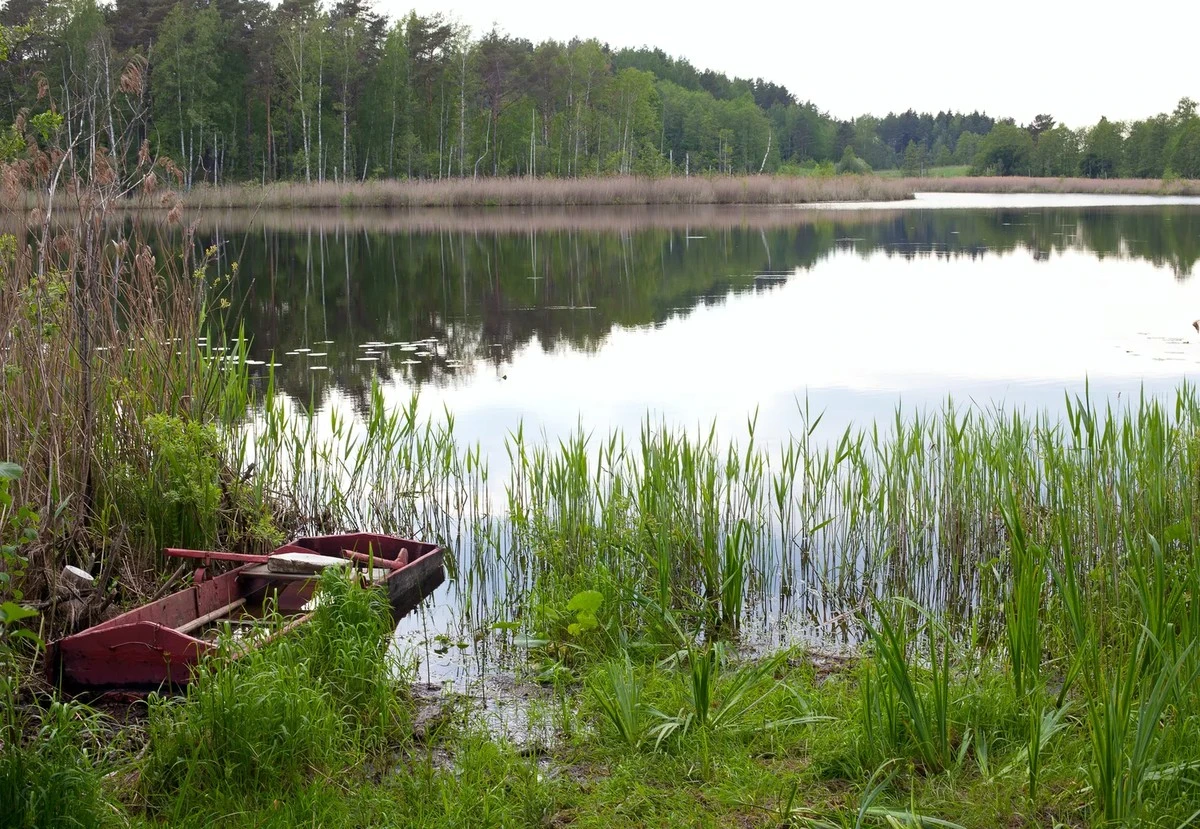 Lijstjes van overstromingen in 2050: waarom Nederlandse rivieren onvoorspelbaar worden