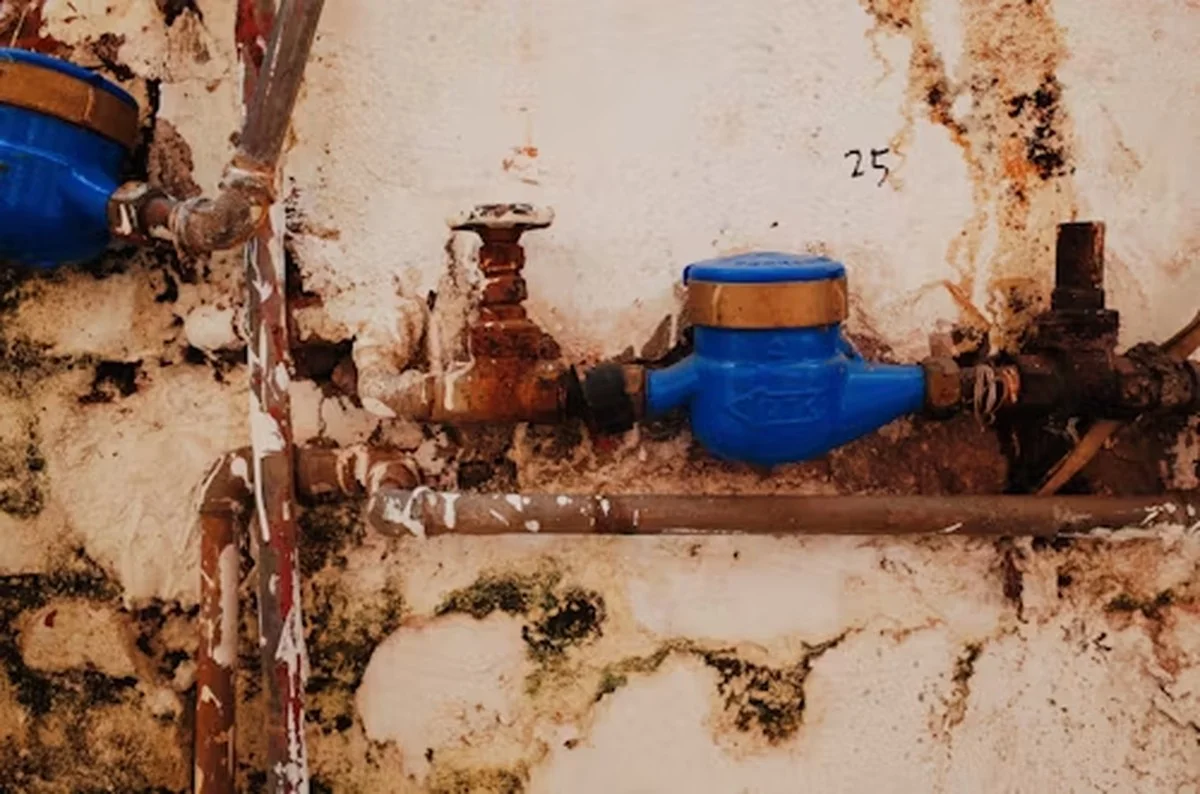 Loodgieters waarschuwen: nooit deze plantaardige olie in de afvoer