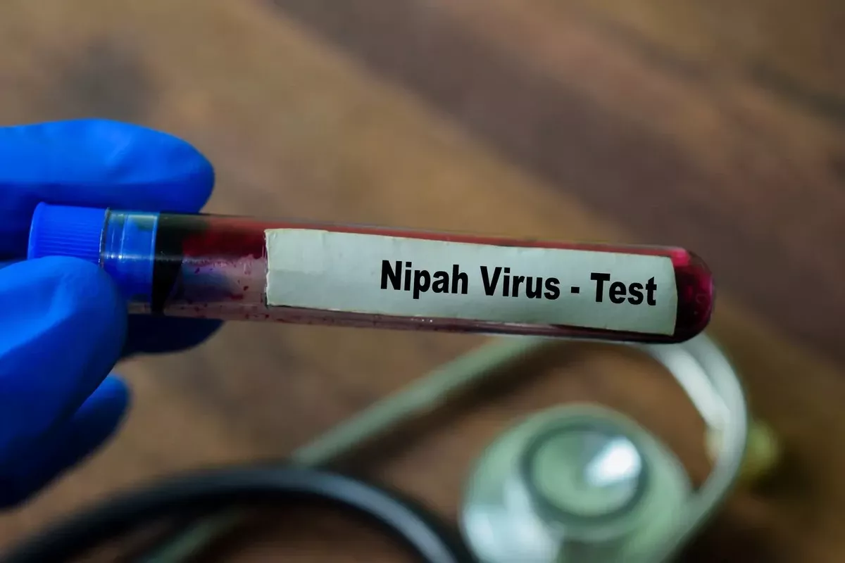 Nipahvirus: Azië in Alarm! Dodelijke Ziekte Keert Terug, Buurlanden Sluiten Grenzen