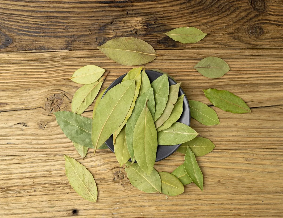 Proef dit in plaats van dure luchtverfrissers: de aromatherapie-wonderen van een laurierblaadje in je badkamer