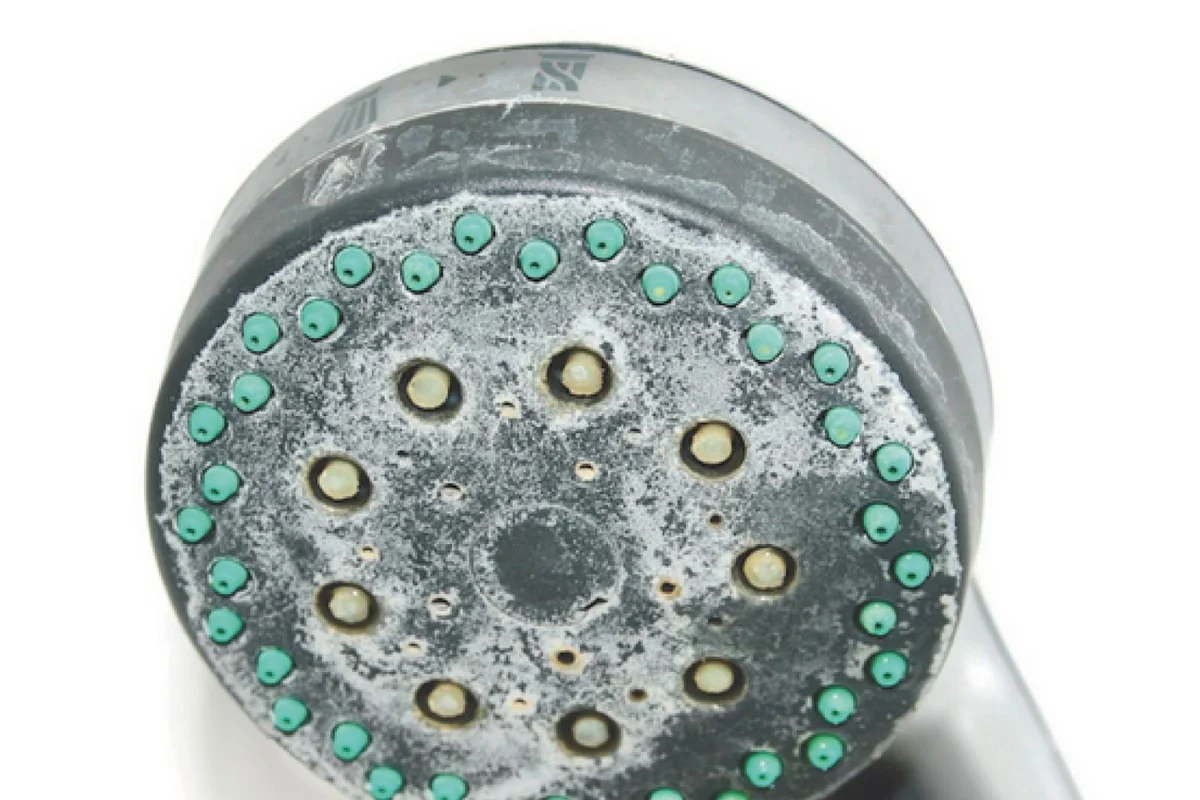 Thee tegen kalkplekken: de onverwachte oplossing voor je douchekop