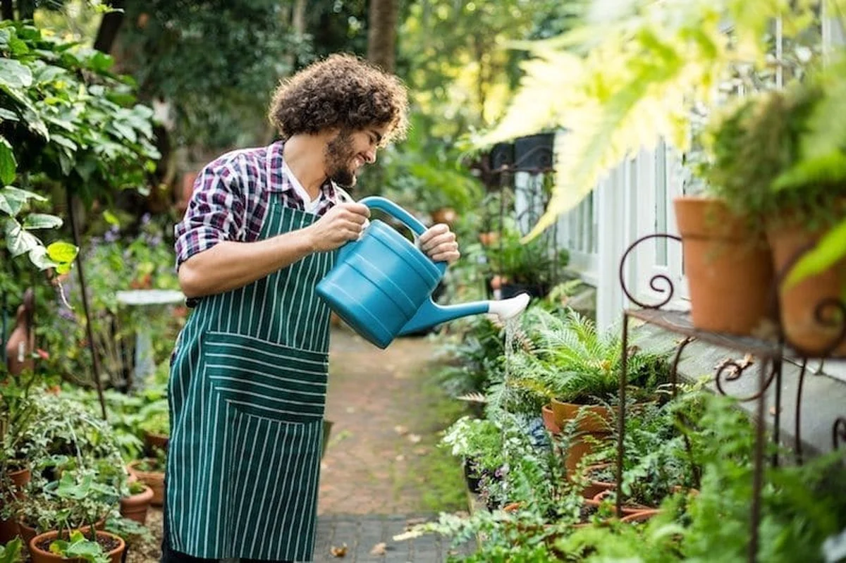 Tuinmannen onthullen: waarom je nooit water geeft na 14:00 uur