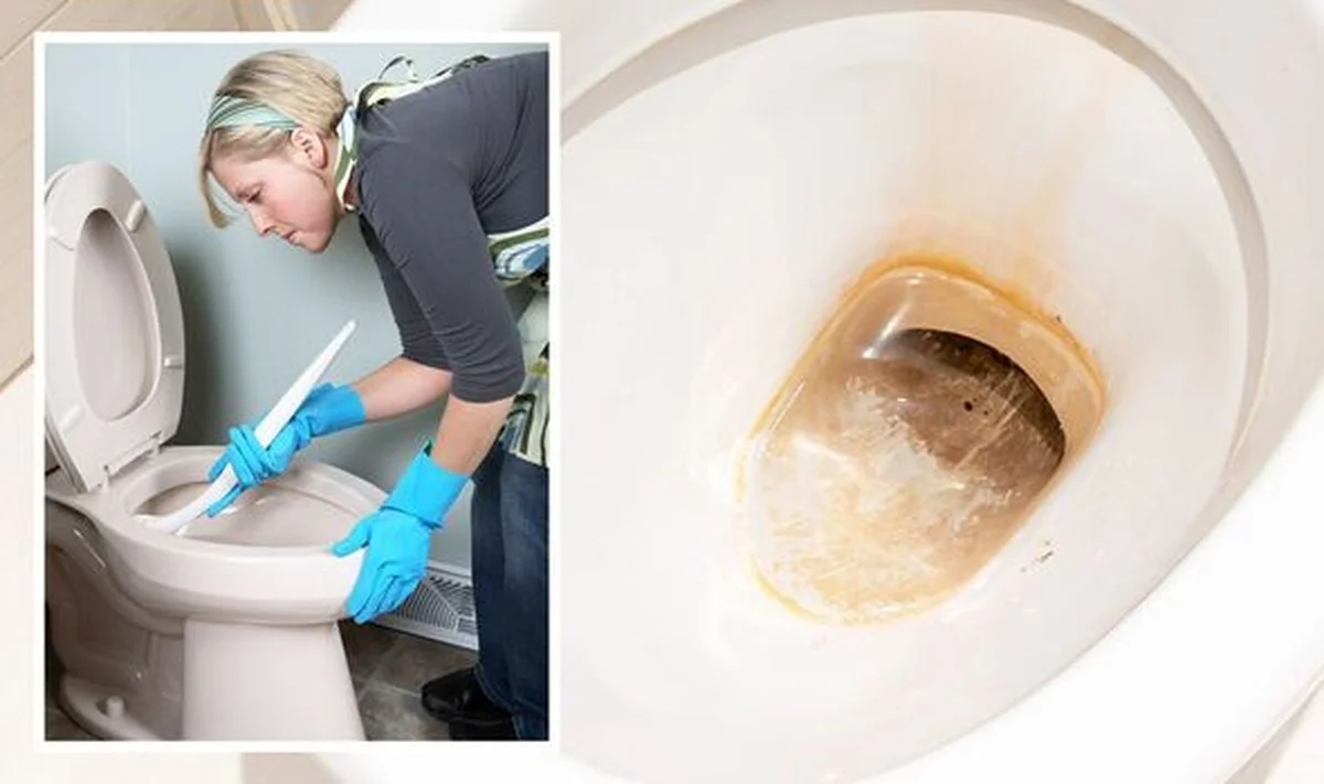 Vinegar in je toilet: de chemische reactie die kalk vernietigt - image 1