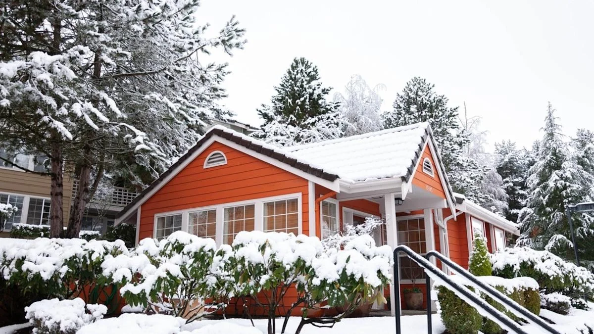 WD-40 op je ramen: de winter-hack die installateurs verzwijgen - image 2