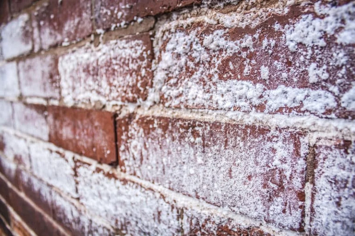 Zout op je vochtige muren: de chemische oplossing zonder dure bouwvakker - image 2