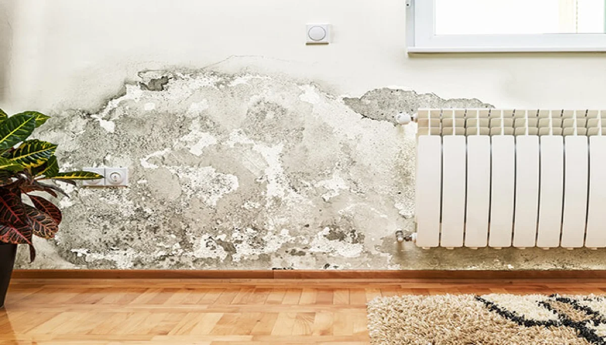 Zoutpatroon achter je radiator? Waarom dit je verwarmingsrekening met 30% verlaagt - image 1