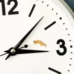 2026: we wisselen weer naar zomertijd! De precieze datum en waarom energiebesparing een mythe is